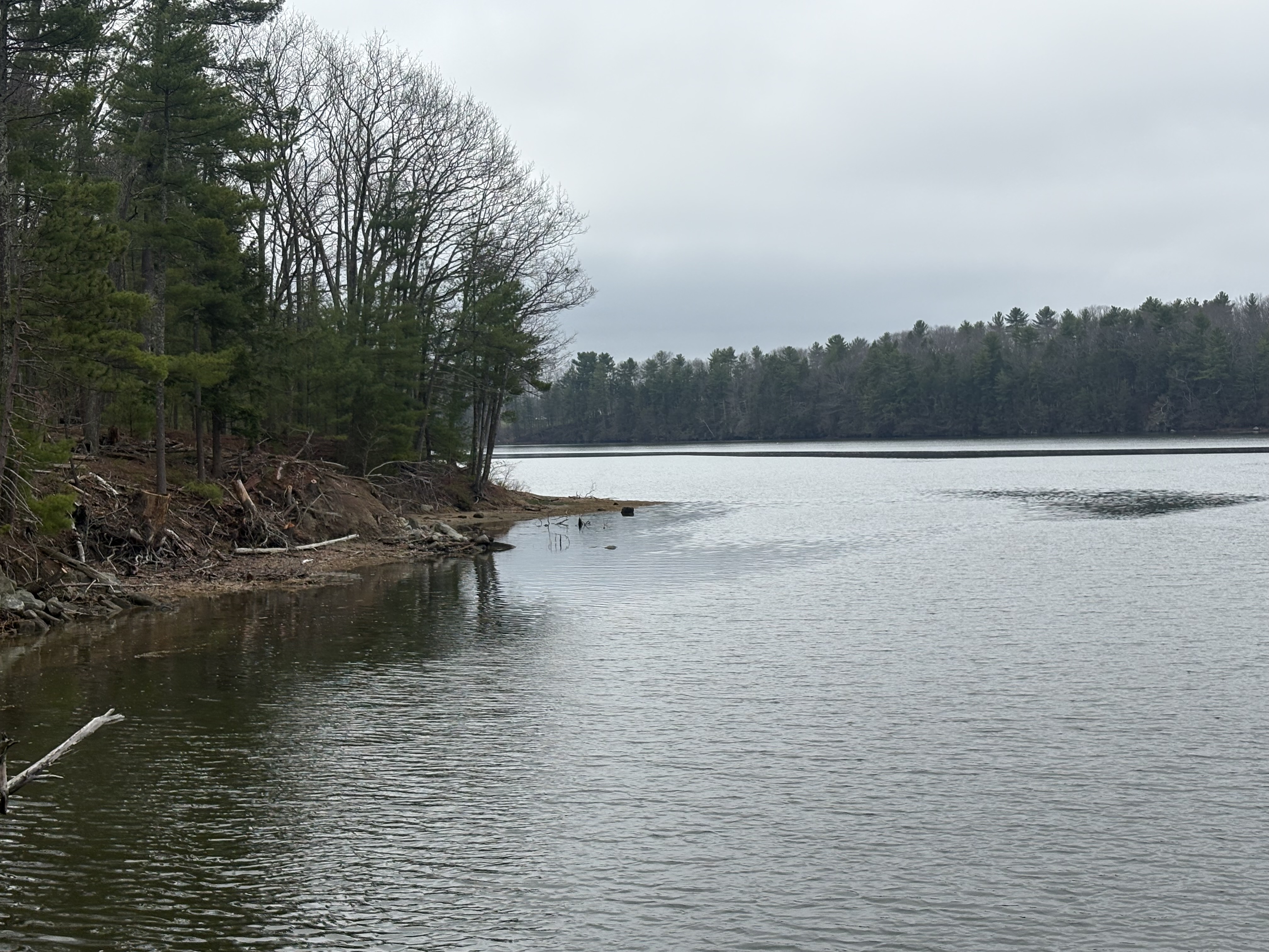 Dog Park Adventures In New Hampshire
